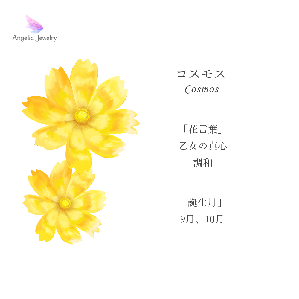 TAKE-UP ONLINE SHOP/テイクアップ公式オンラインショップ