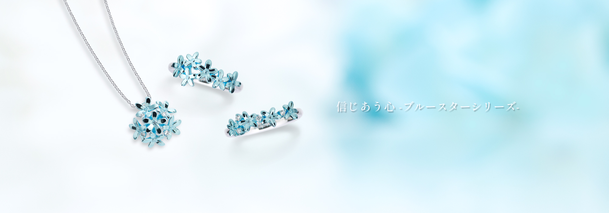 ブルースター（オキシペタラム）」のコレクション。